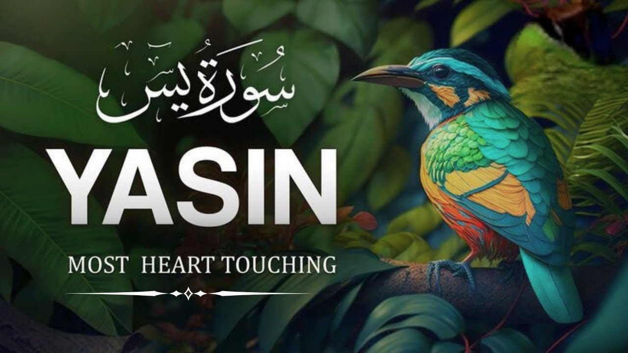 Amazing and Beautiful Recitation of Surah Yasin | Relaxing voice | Beautiful Quran Recitation