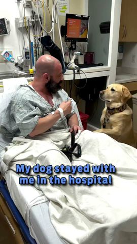 My dog stayed with me in the hospital!