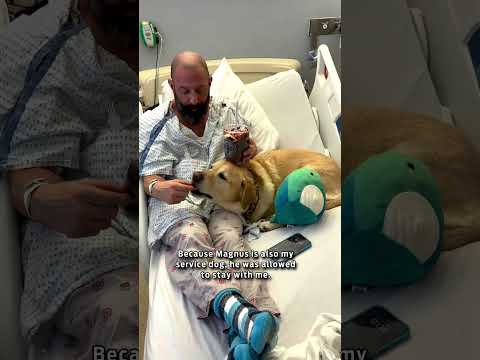Video: Terapinis šuo švelniai patinka ligoniui ligoninėje, nors abu klauso poezijos