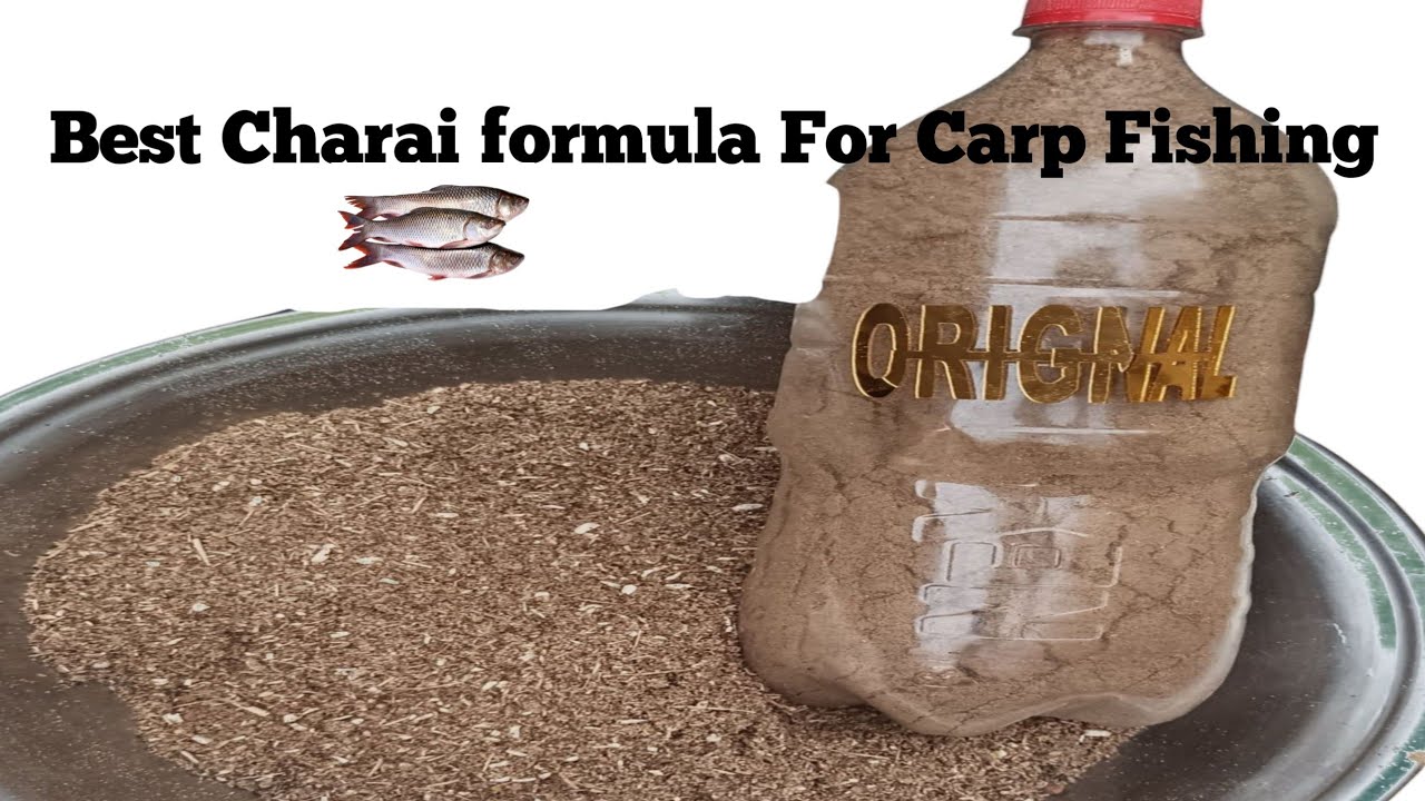 How make a fastest fishing combination at home||carp fish natural baits