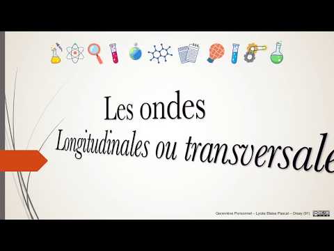 TS - Les ondes - 5 - Ondes longitudinales et transversales