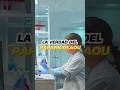 🔬El PAPANICOLAOU es una 🦠🧫PRUEBA que DEBE PASAR por MANOS de un 👨🏻🔬 PATÓLOGO🛑 @Drajosgine