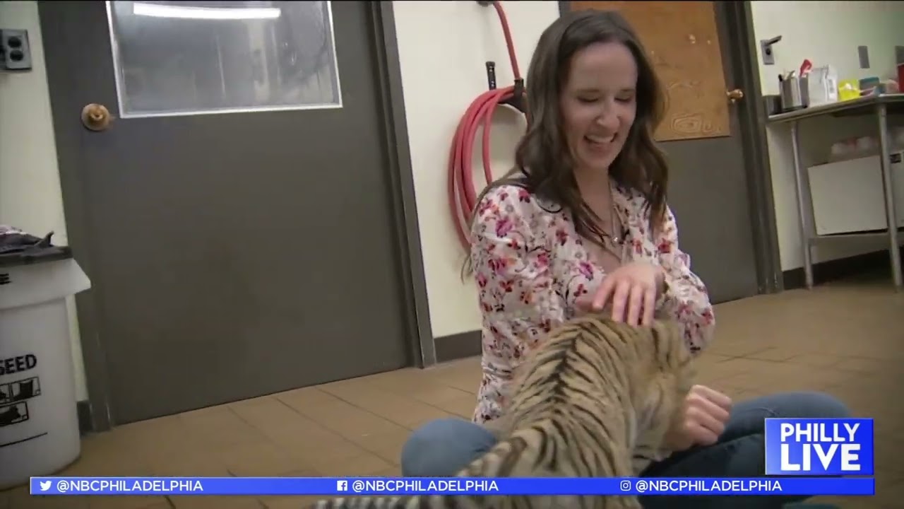 Tiger Cubs at Six Flags Great Adventure | Philly Live