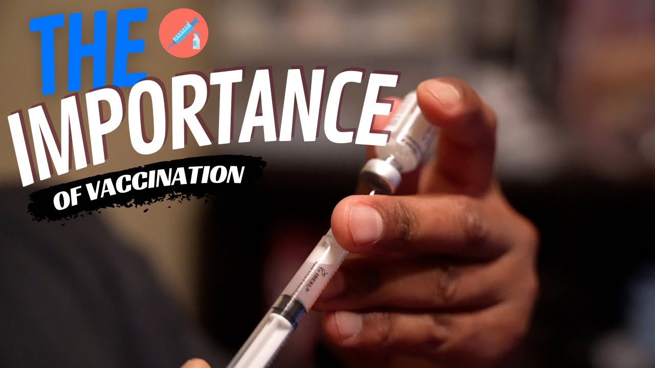 Does your Dog NEED the Leptospirosis Shot??? YouTube