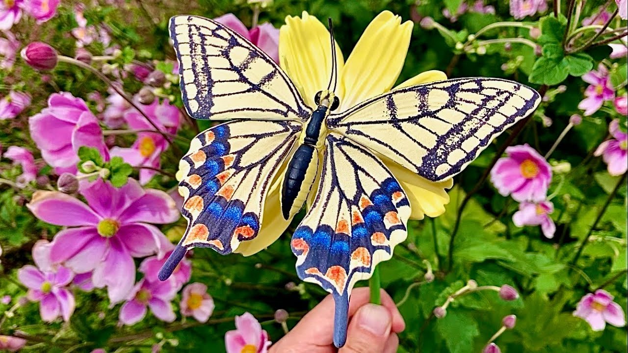 Gashapon in Japan】swallowtail butterfly capsule toy - YouTube