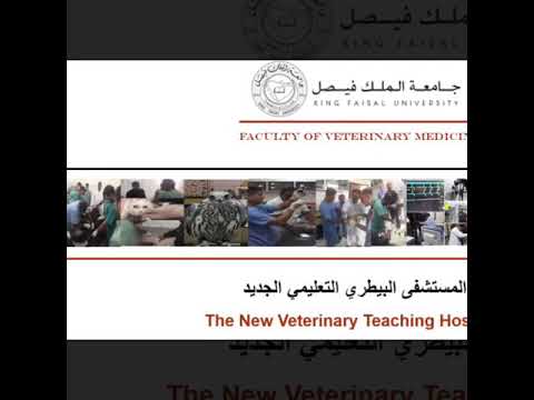         المستشفي البيطري التعليمي ما بين الماضي الحاضر و المستقبل
