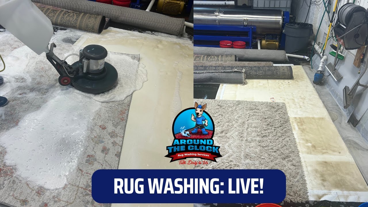 LIVE VIDEO: Cleaning multiple rugs at the same time! #dayinthelife