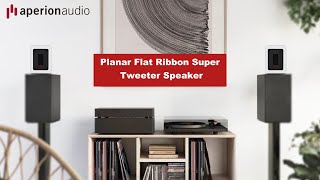 Customer Photo Gallery | Aperionaudio Ribbon Super Tweeter Speaker | Feels Like Home | 220618 screenshot 3