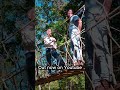 Rope Bridge Build Process That Blew Our Minds #Craftsmanship #Treehouse #Design