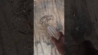 Diy Dual Motor Cyclone Dust Extractor V1.0 Test