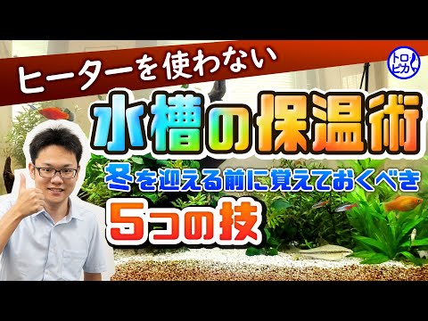 【冬を迎える前に!】ヒーターを使わない水槽の保温術!覚えておくべき5つの技