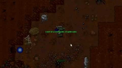 Hide (Boss Tarantula) - TIBIA