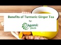 11 Best Benefits of Turmeric Ginger Tea | Organic Facts