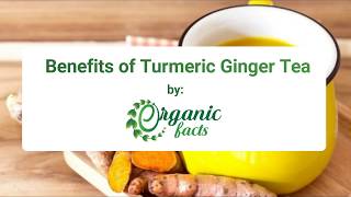 11 Best Benefits of Turmeric Ginger Tea | Organic Facts 11 Best Benefits Of Lemon Ginger Tea Organic Facts