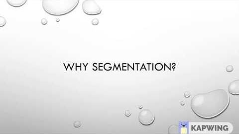 OS Segmentation