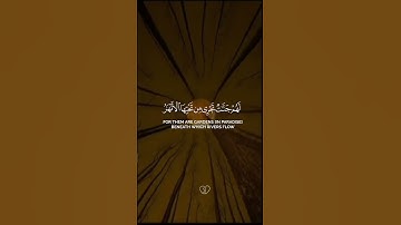 قرآنْ گريَم #القارئ_ياسر_الدوسري #راحة_نفسية #اكسبلور #لايك
