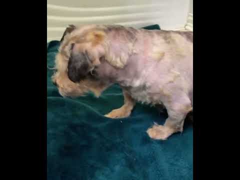 At 18 Years Old, He Was Dumped W/ A Tumor The Size Of His Stomach