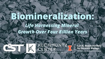 Biomineralization: Life Harnessing Mineral Growth Over Four Billion Years