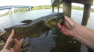 CHATTANOOGA TENNESSEE RIVERPARK FISHING, BUSTED MY BUTT FOR A CATFISH.