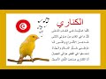 أنشودة الكناري مكررة للحفظ للأطفال مع لحن جميل محفوظات كناري الكاناري الكنري