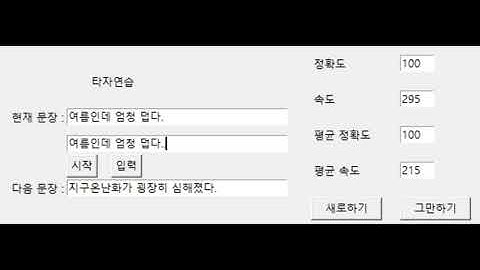 개인 작업물 - Python 타자연습