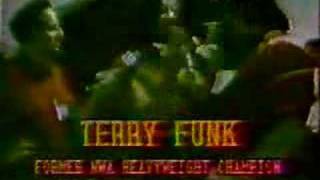 Terry Funk backstage interview