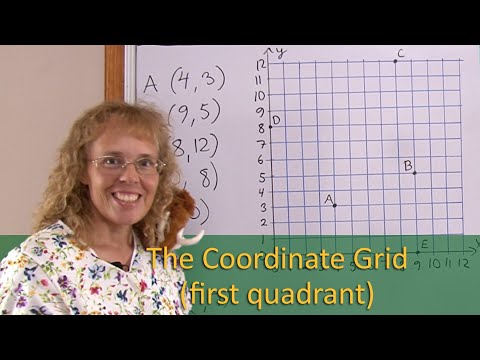 Coordinate grid (first