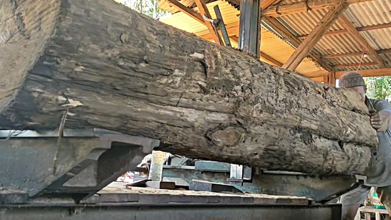 The process of sawing large teak wood is dangerous and full of ...