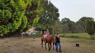 Emmas Erste Reitstunde