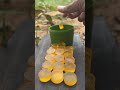 Survival skills: dad shows how to make 100% good Soap and Water