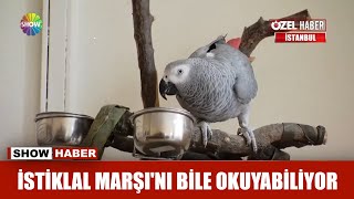 Istiklal Marsi indir, mp3 indir, dinle.