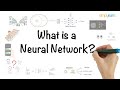 Neural network in 5 minutes  what is a neural network  how neural networks work  simplilearn