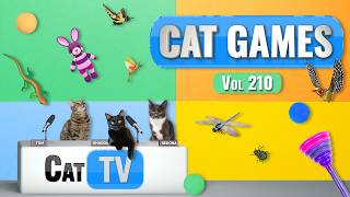 CAT Games | Ultimate Cat TV Compilation Vol 210 | 8 HOURS 🐝🐞🦋🦎🦜🐜🐭🧵 screenshot 1