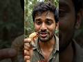 అడవిలో పురుగులు తిన్నాడా? 😱🐛 | Survival Food Challenge Telugu | Beetle Larva Eating