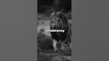 Small Steps, Big Results | The Power of Consistency || #consistency #motivation #success