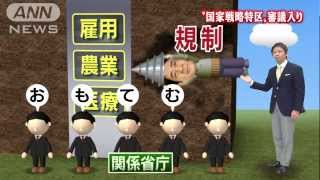 アベノミクス第3の矢が・・・国家戦略特区審議入り(13/11/08)