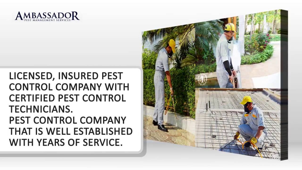 Pest Control Wellington 5617934996 15715 Lindbergh Ln Wellington, FL