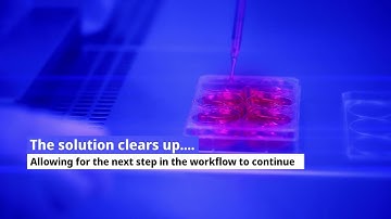 HL SAN for Reduction of Cell Lysate Viscosity