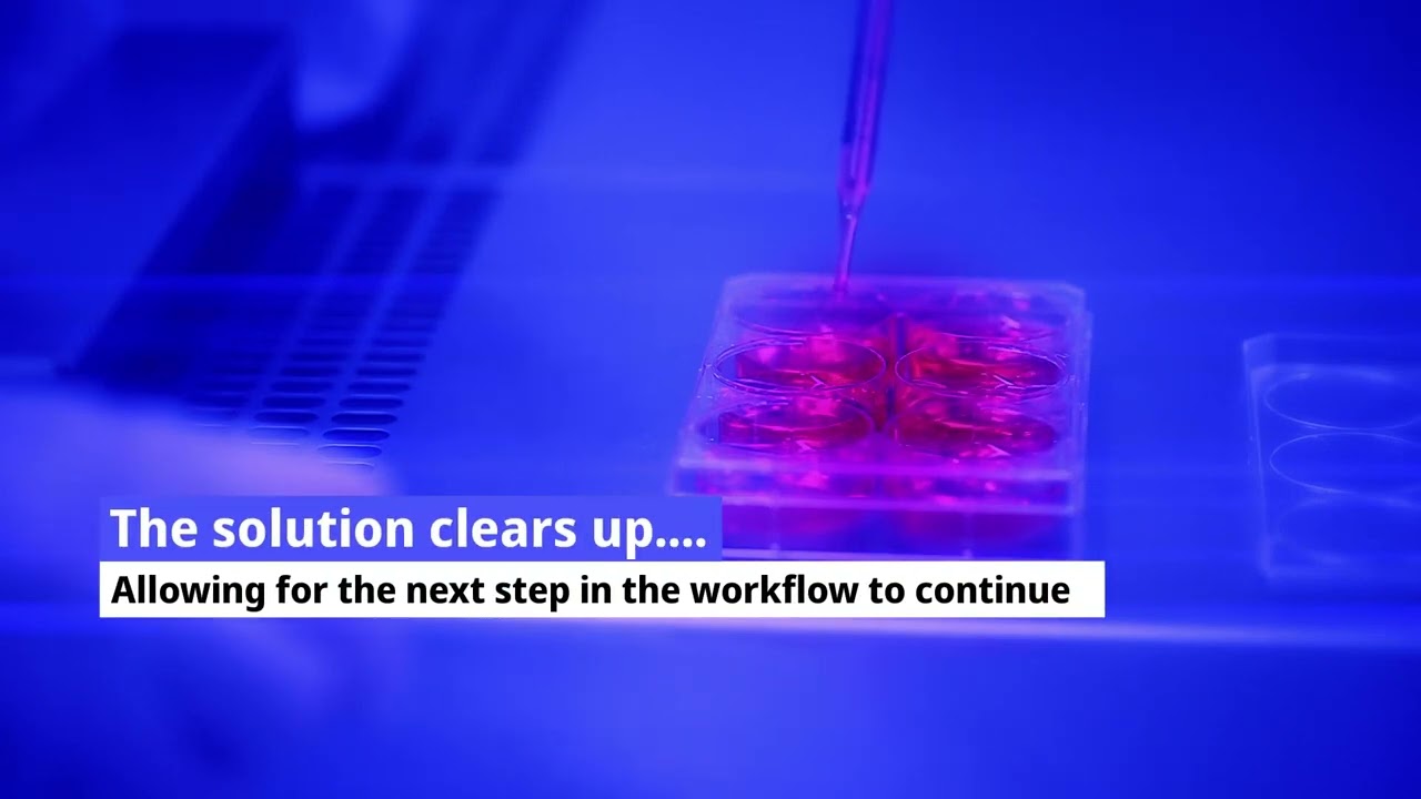 HL SAN for Reduction of Cell Lysate Viscosity