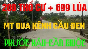(Ms 119♥️Đã Bán) Bán Đất Mặt Tiền Đường Kênh Cầu Đen Phước Hậu, Cần Giuộc, Long An | Bđs Long An