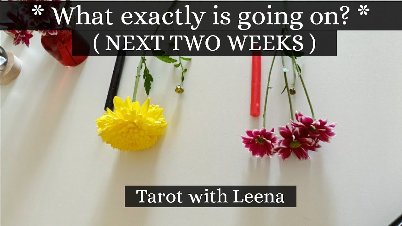 Candle wax reading : What exactly is going on? ( NEXT TWO WEEKS ) | Pick a Candle | Tarot with Leena
