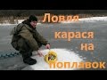 Искал ротана, а нашел карася. Ловля на поплавок карася со льда.