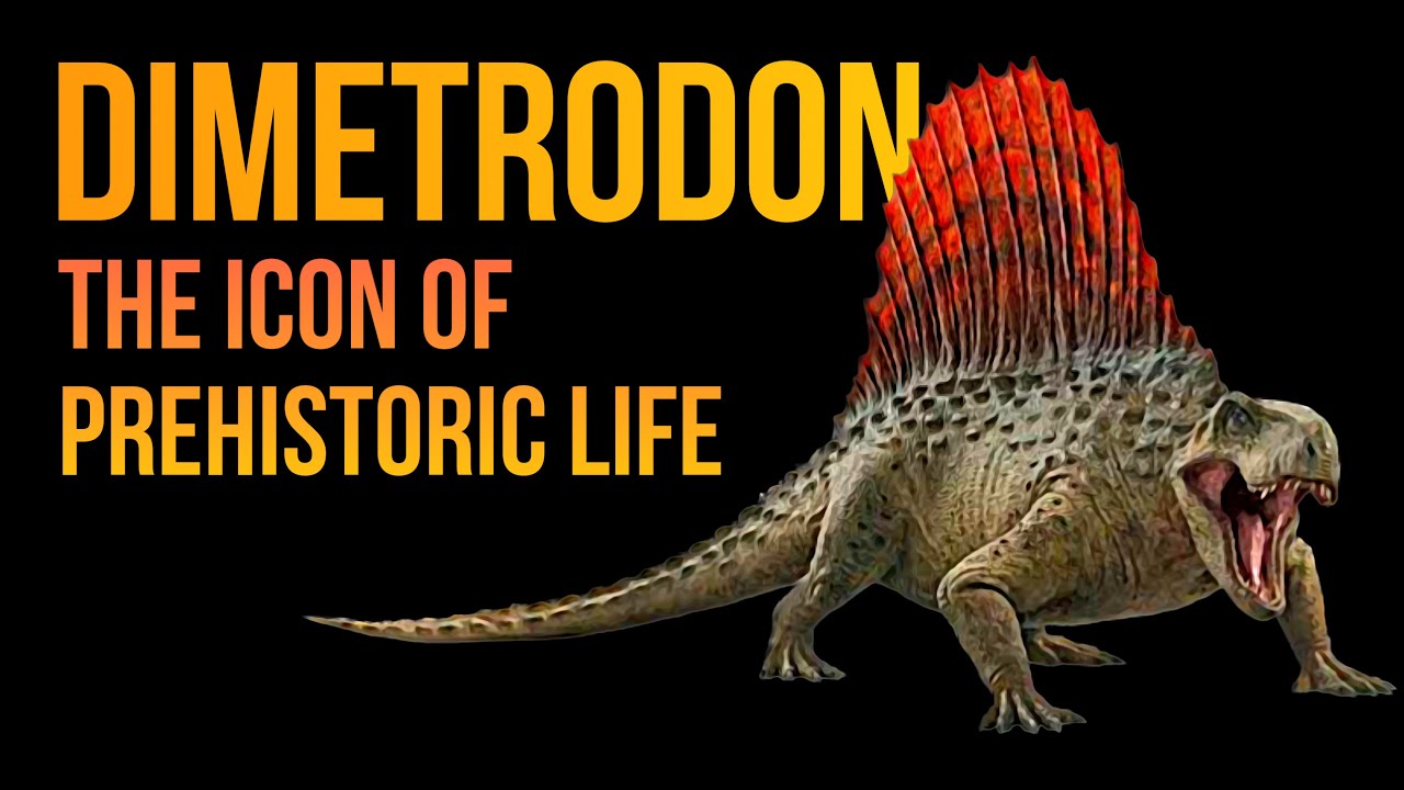 "Unveiling the Legend: Dimetrodon - The Icon of Prehistoric Life"