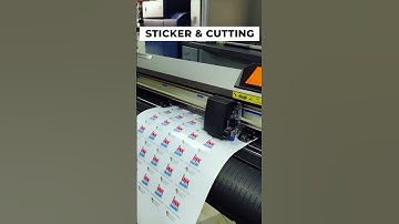 Custom Shape Sticker Printing & Plotter Cutting