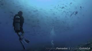 Scuba Diving KARIHATAG SHOAL
