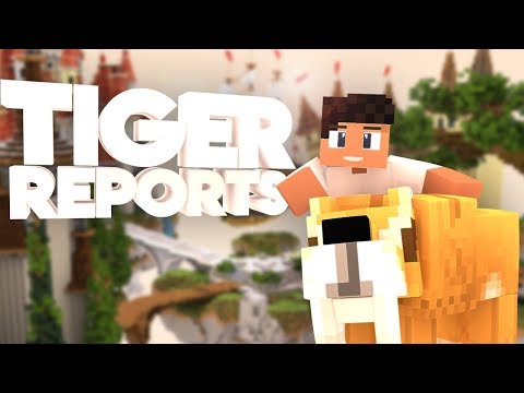 Tiger Reports Plugin | Minecraft