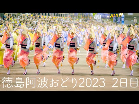 本場徳島阿波おどり2023 2日目！ Awaodori in Tokushima Japan 4K HDR