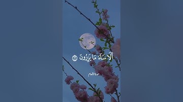 تلاوة عطرة للشيخ حسن صالح #quran