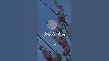 تلاوة عطرة للشيخ حسن صالح #quran