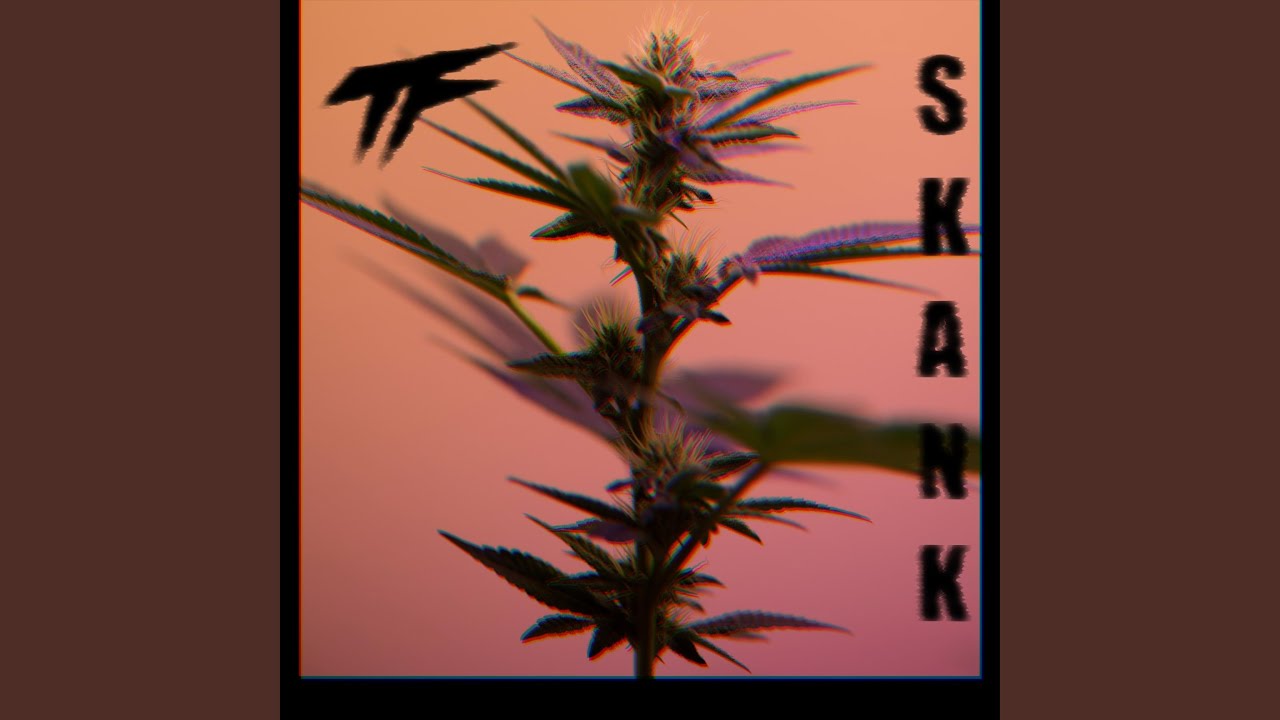 Skank 